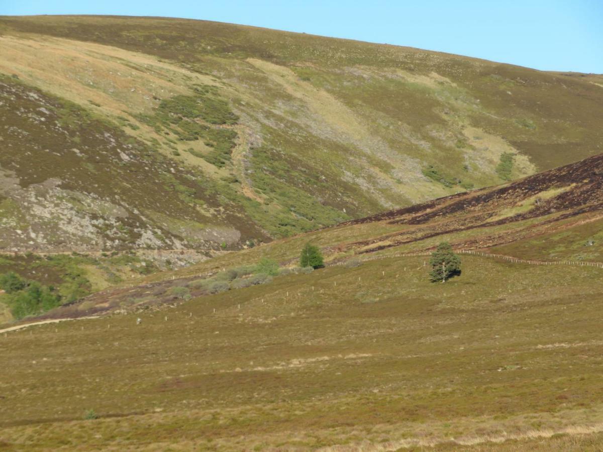 Balvraid Lodge B&B Inverness Dış mekan fotoğraf